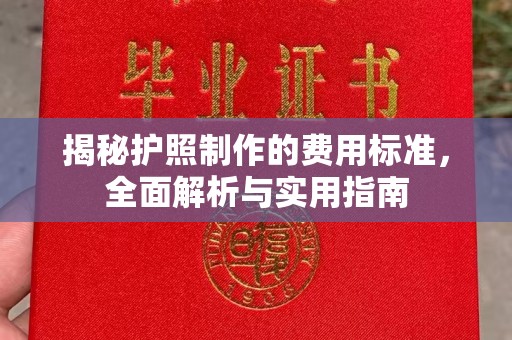 祁县揭秘护照制作的费用标准，全面解析与实用指南